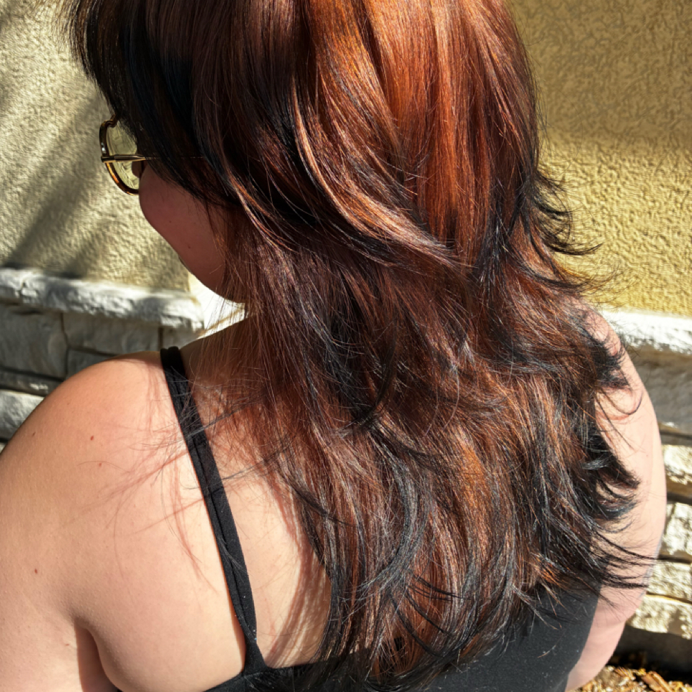 Fox Tip at Hair by Raven Marie in Fort Worth, TX