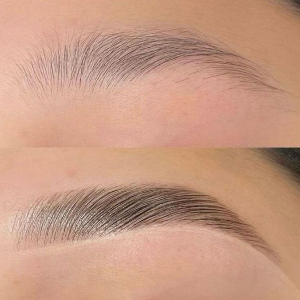 Brow Wax + Tint at Hoosier Beauties in Bloomington, IN