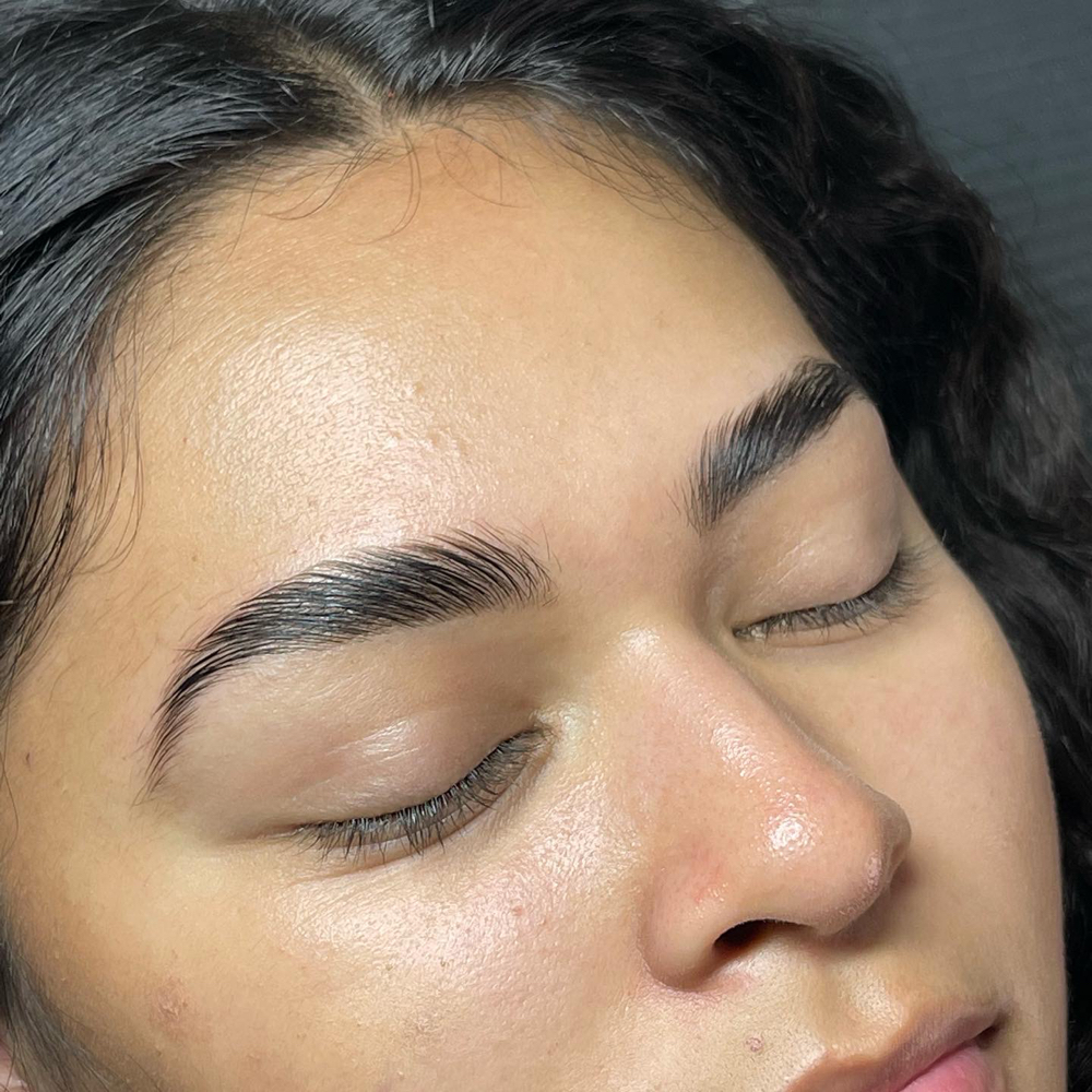 Wax & Brow Tint