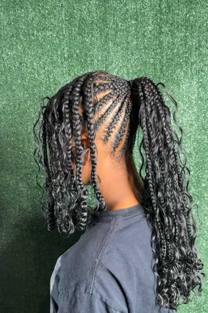 Lemonade Braided Ponytail