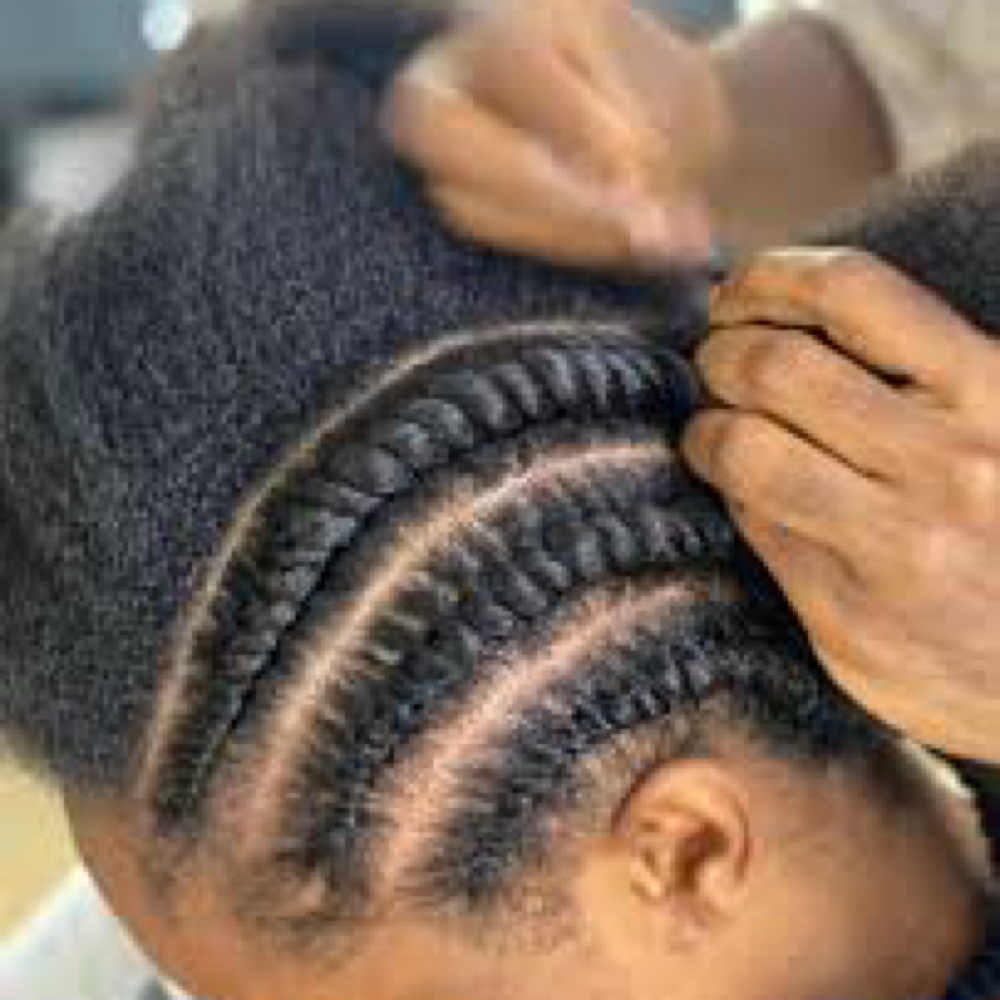 Natural Twist/Braid Out