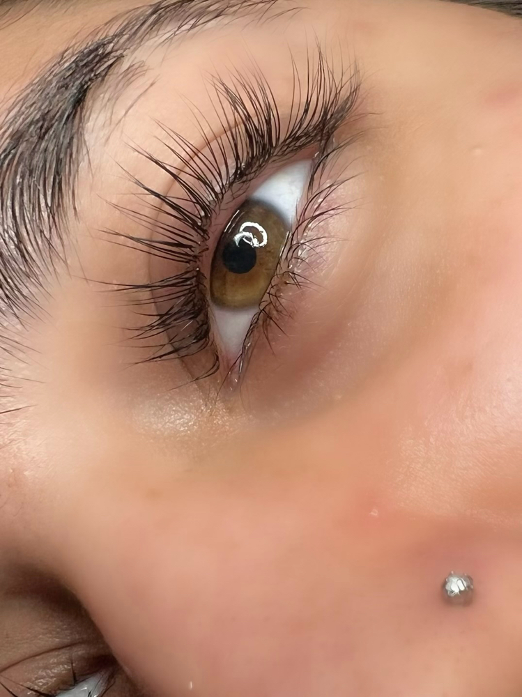 Lash Lift