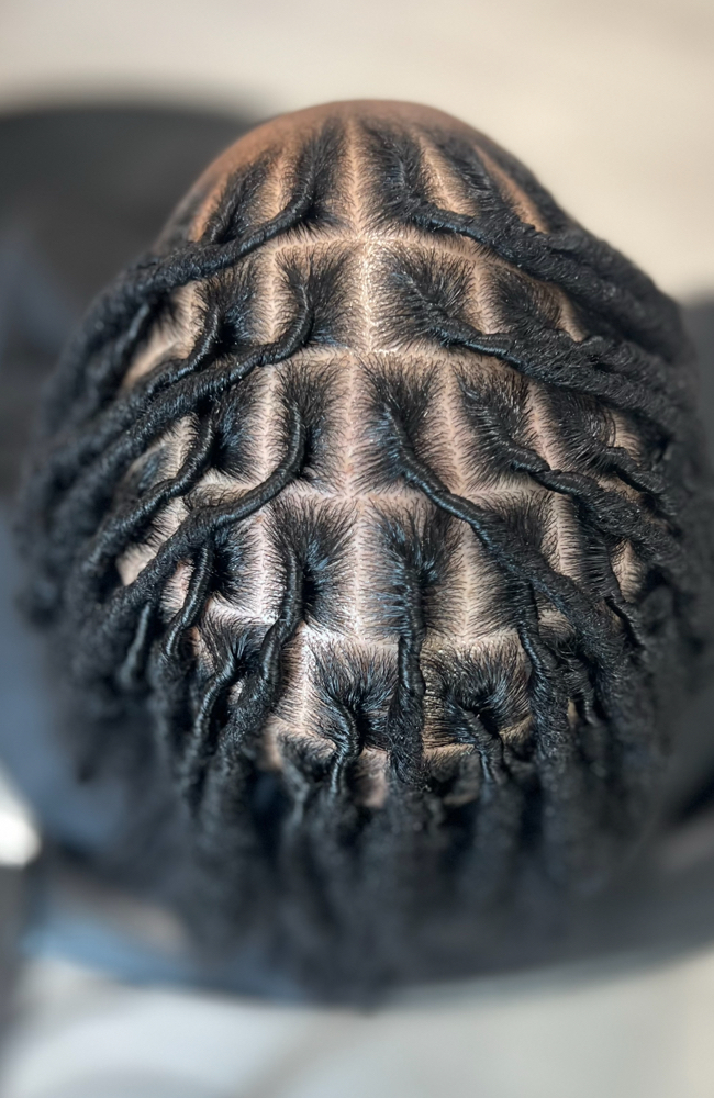 STARTER LOCS/NEW LOCS
