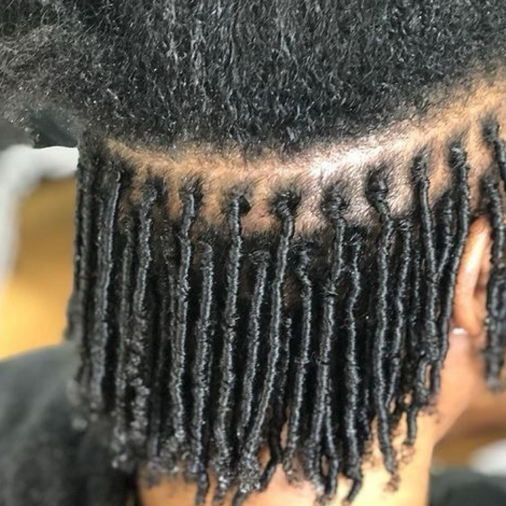 STARTER LOCS/NEW LOCS at KATRINA DANIELS in Chesapeake, VA