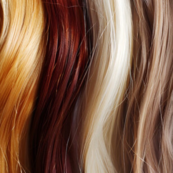 Toner Application at Hair By Mariah in greer, SC