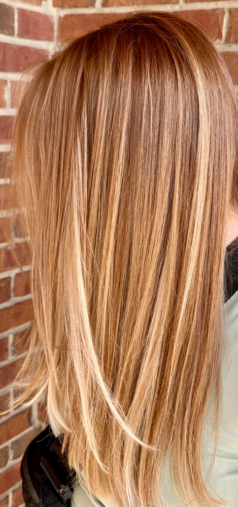 Foilyage / Balayage With Haircut at ROOTZ HAIR SUITE in Clinton Township, MI