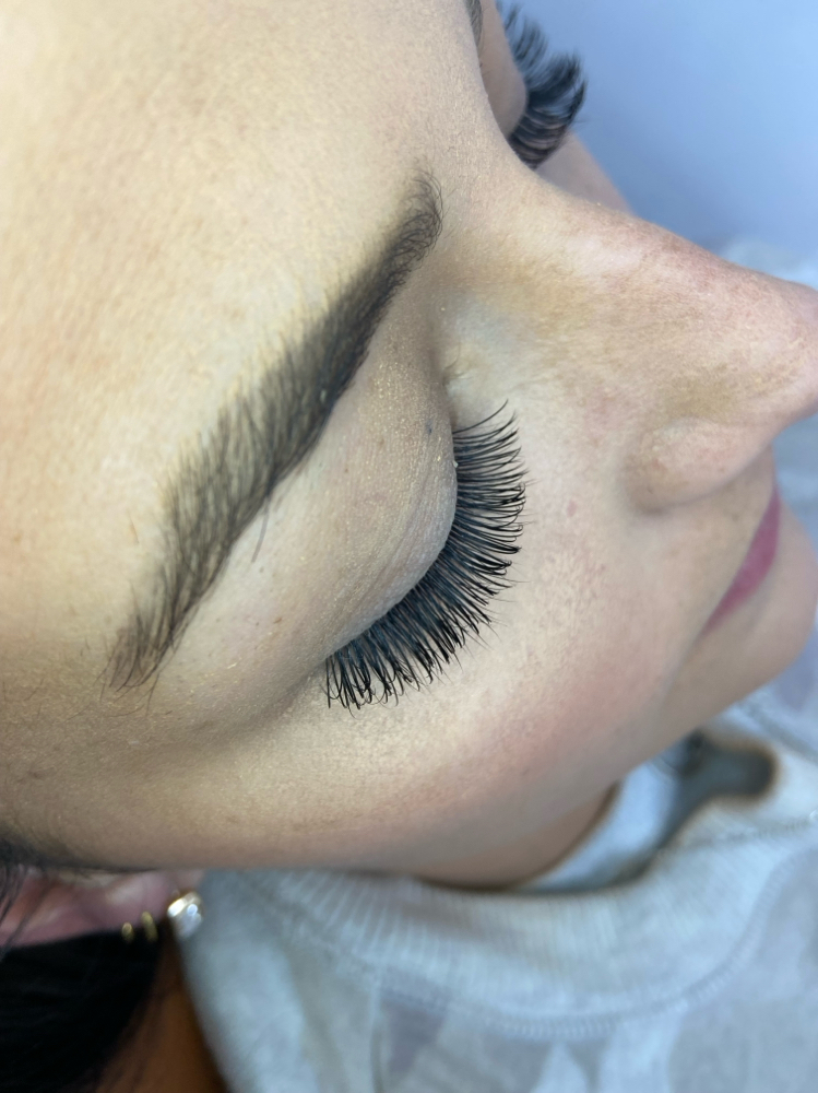 Lash Fill in/ Classics