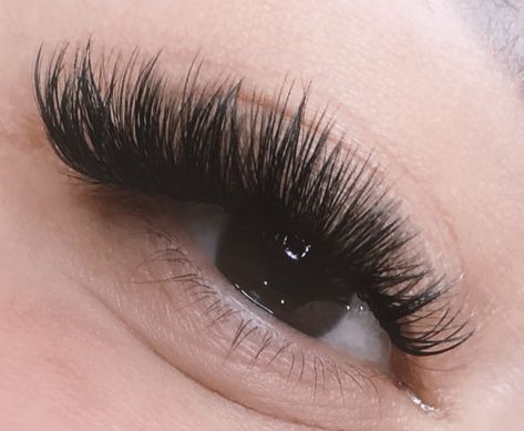 Volume Eyelash Extension Fill