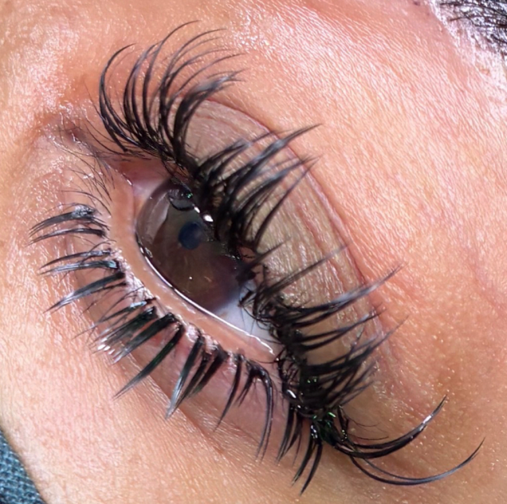 Custom “Wet” Set Lash Fill at Elegant Vanity LLC in Temple Hills, MD
