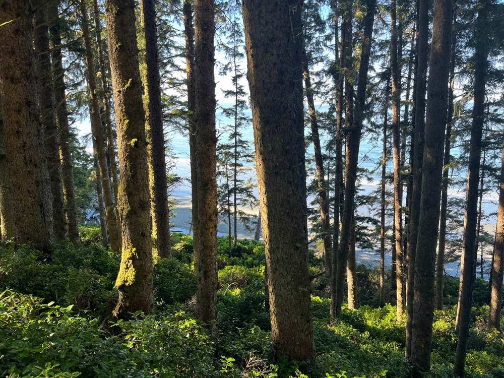 2 Hour Massage and Reiki