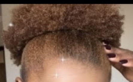 High Color Lift (No Bleach)