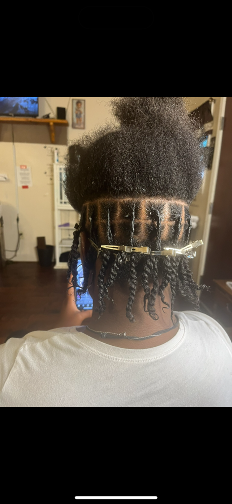 Starter Locs