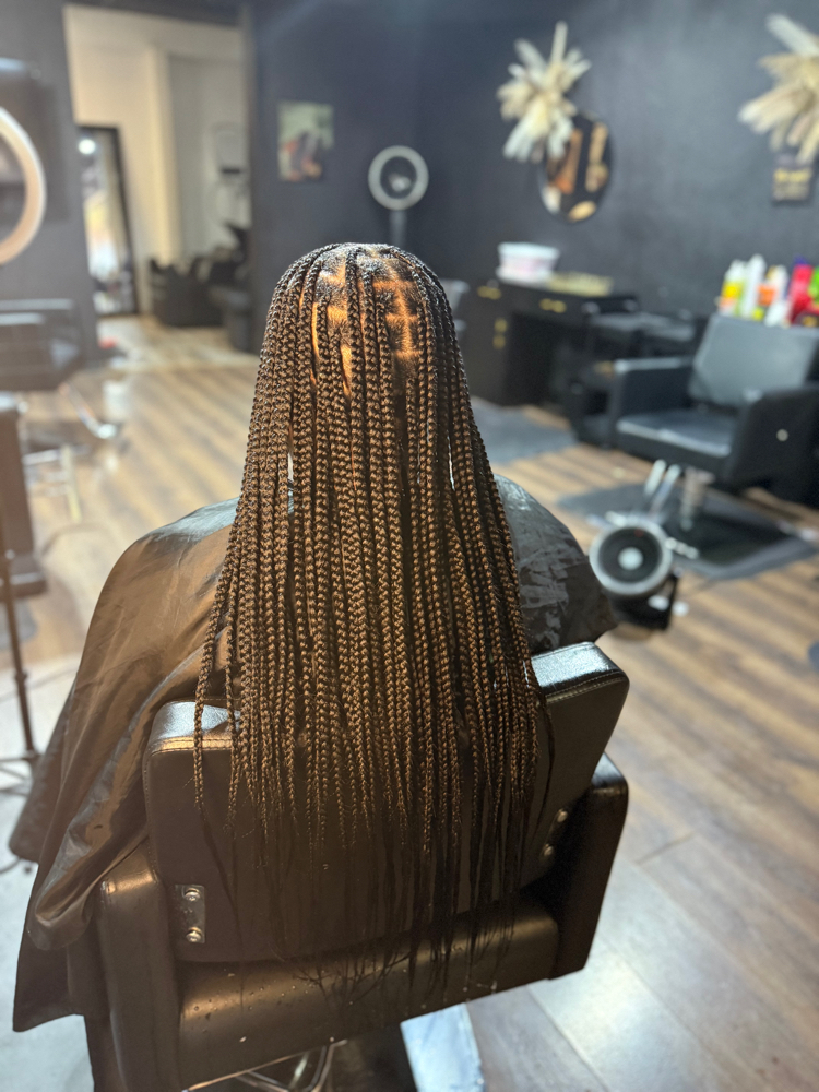 Medium Knotless Braids at StylesbyShanti in Phoenix, AZ