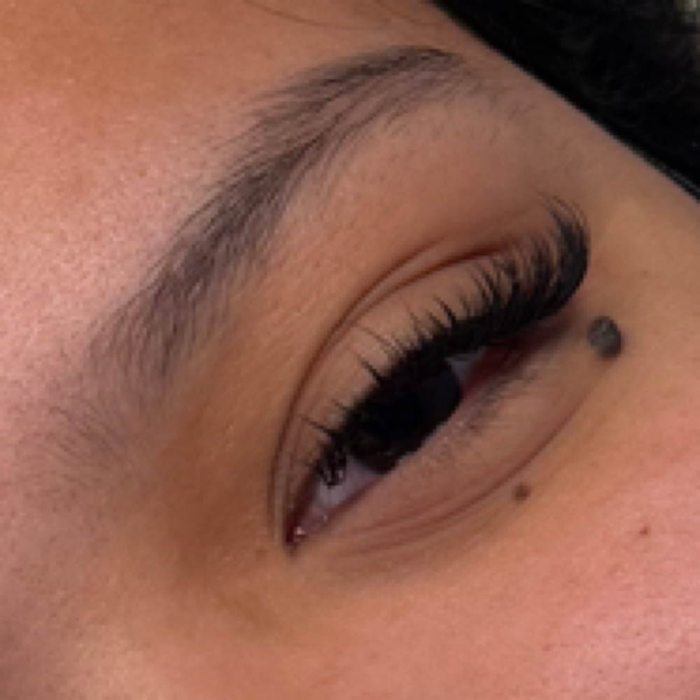 Classic Fill at Halo Palace in Westminster, CO