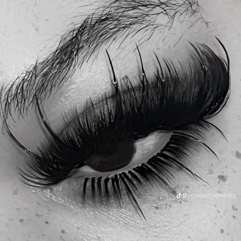 Specialty Set at Elite Edge Studio in Glendale, AZ