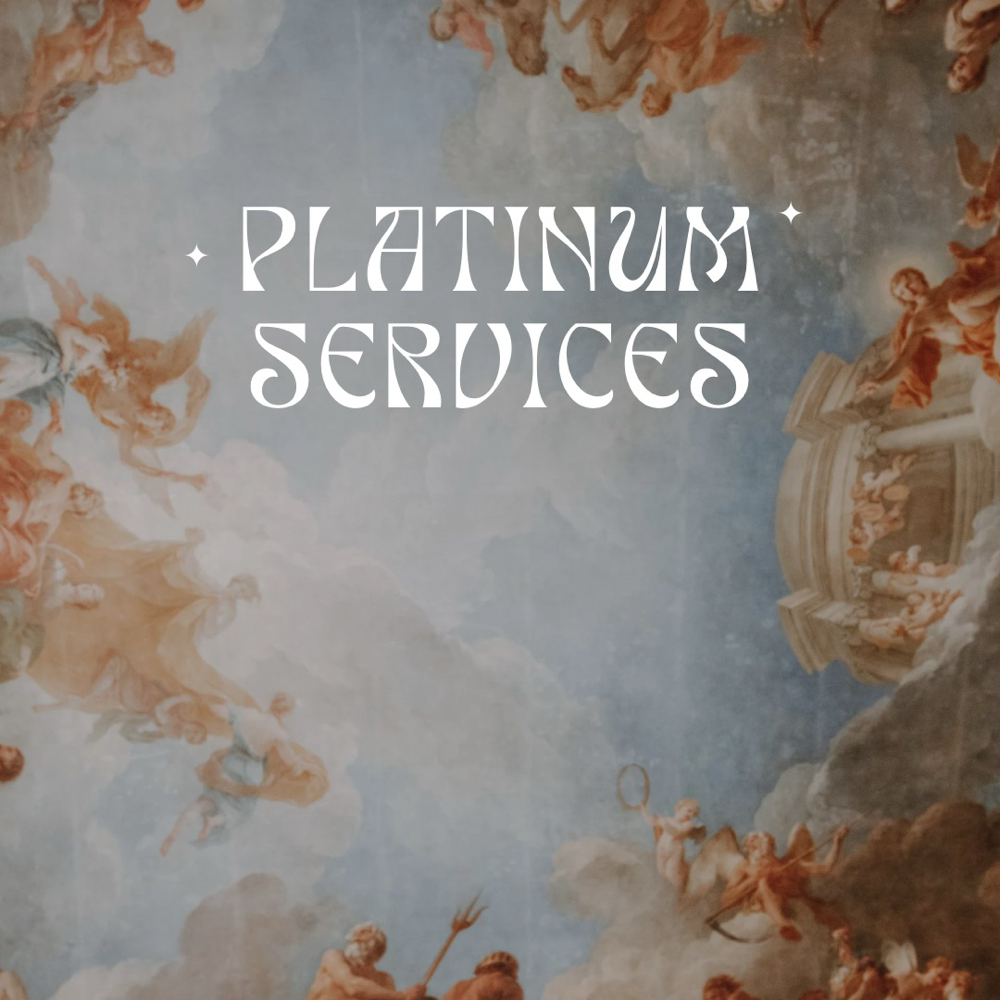 Platinum Color Service