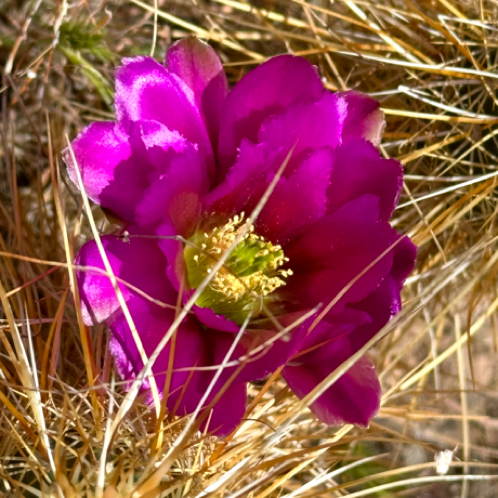 Relaxation Massage 50 Min at FAR&AWAY Spa and Massage in Gothenburg, NE