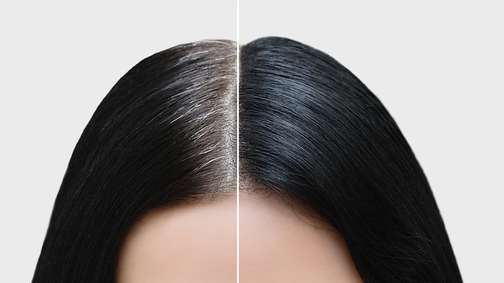 All Over Color - Root Touch Up