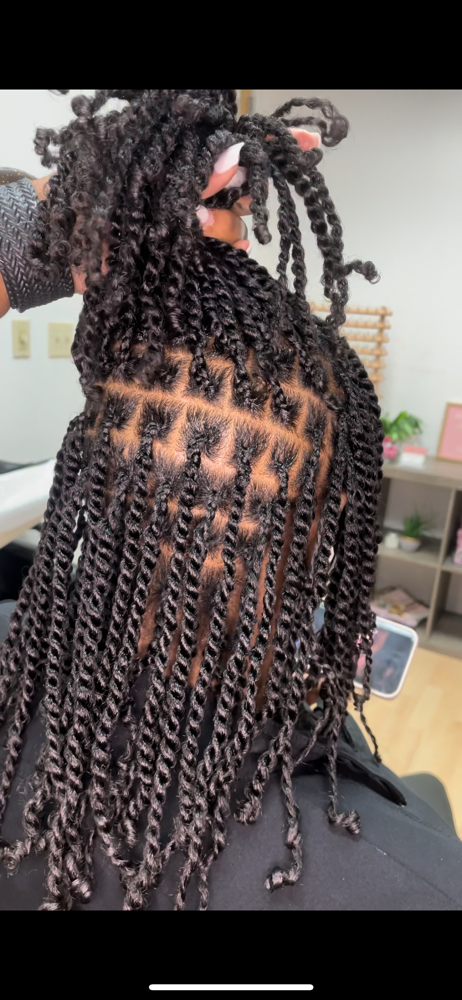 Mini Twists