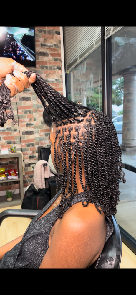 Mini Twists