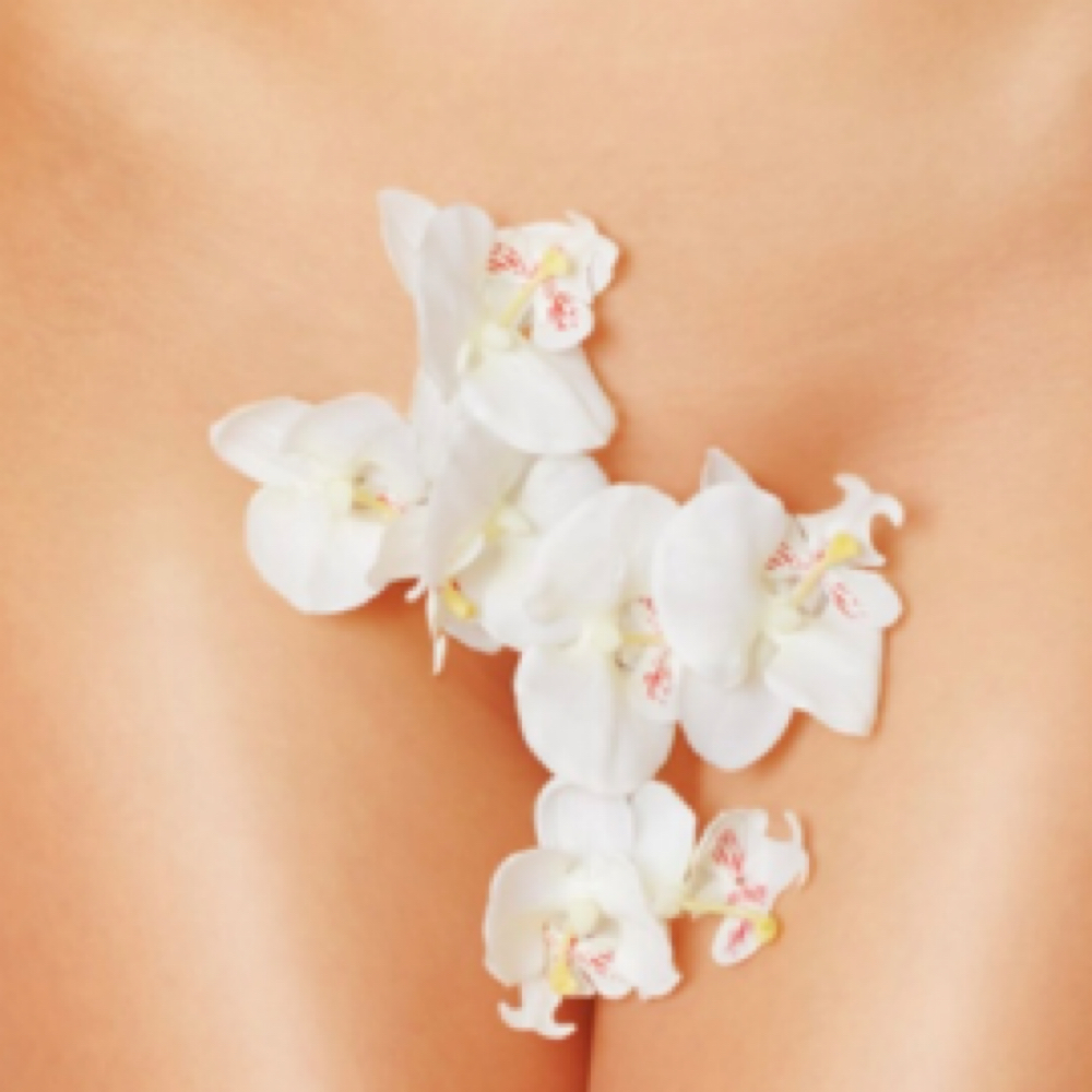 Newbie Brazilian Wax at Deanna Eldridge in Great Bend, KS