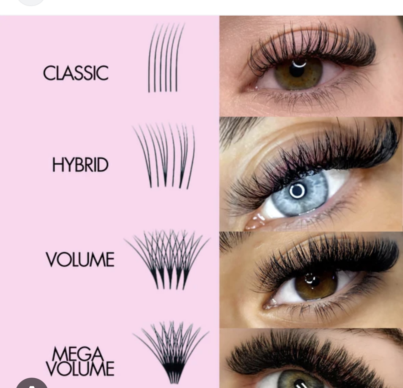 Classic Bee Lash Set