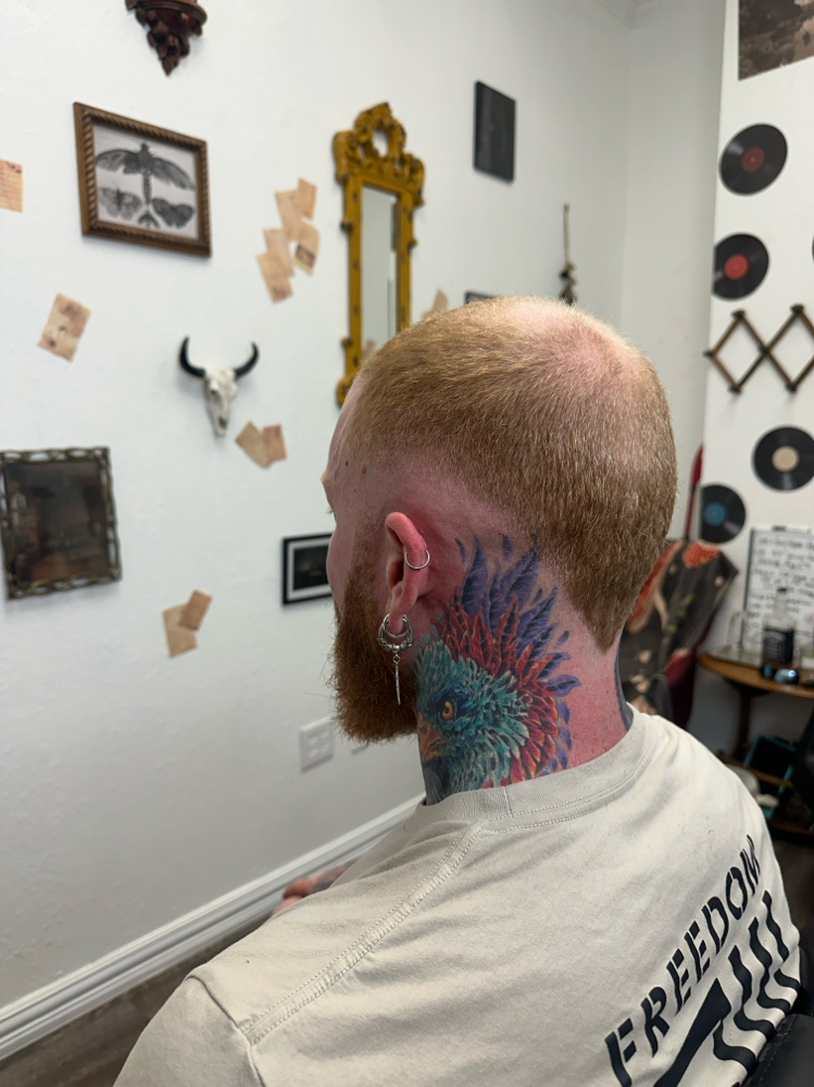 Specialty Fades at Bearded Lady in Greenville, TX