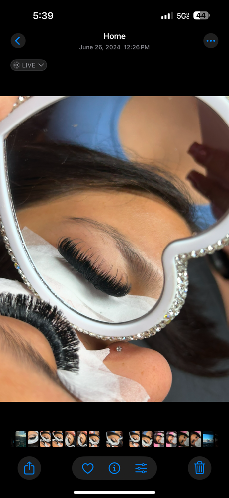 Wispy Hybird Fill