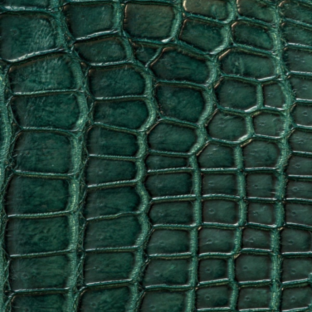 Dry Style at Marissa Hodge in Pensacola, FL