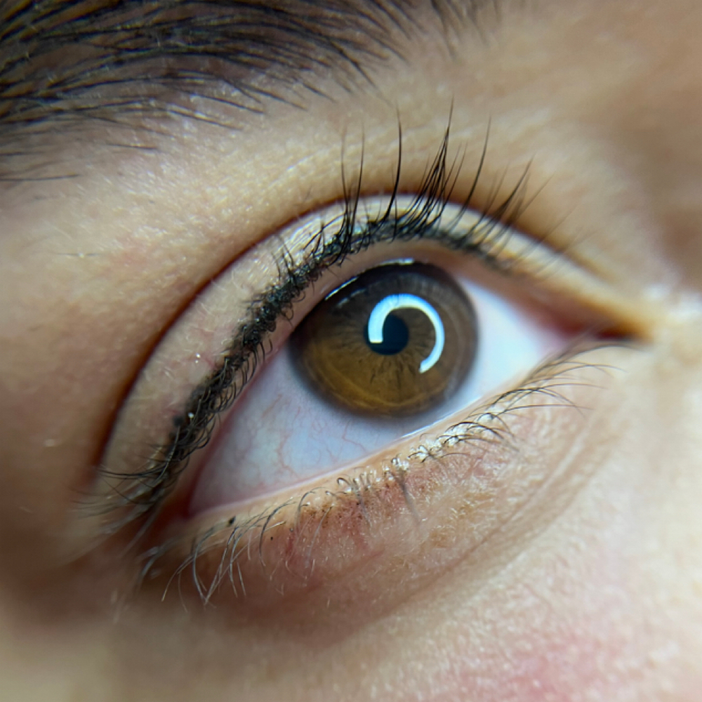 👁️Lash Line at IV Iuliia Veremeva Permanent Makeup Studio in Granger, IN