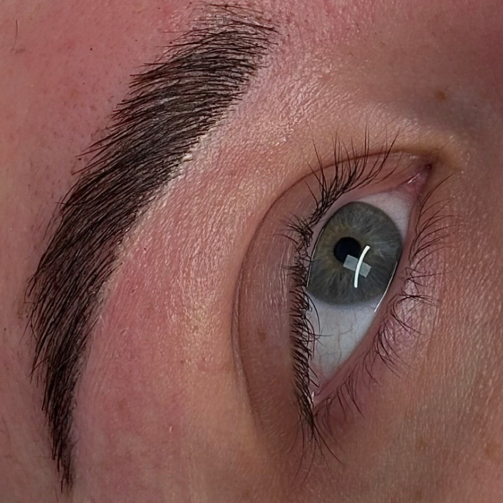 Brow Lamination + Tint/Stain + Wax at Skin by Claudia in Billings, MT