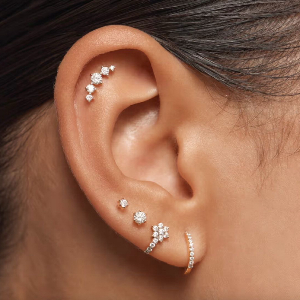 2 Ear Piercings + 24k Pvd Curration at Esthetically  Beautiful in Tracy, CA