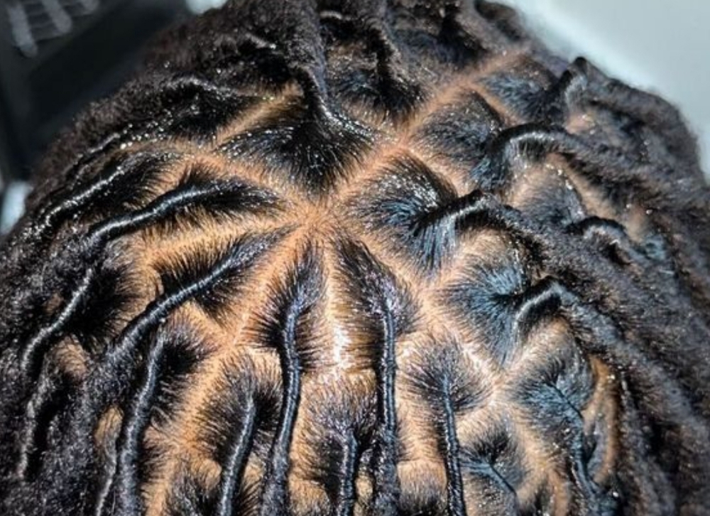 Starter Loc Consultation