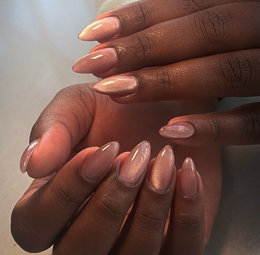 Apres Gel-x  Extension Set