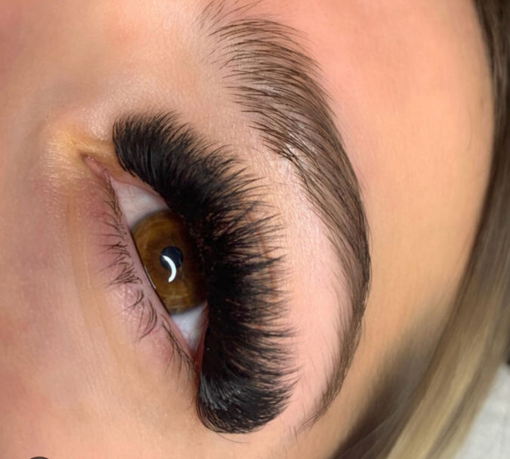 Mega volume Lash fill