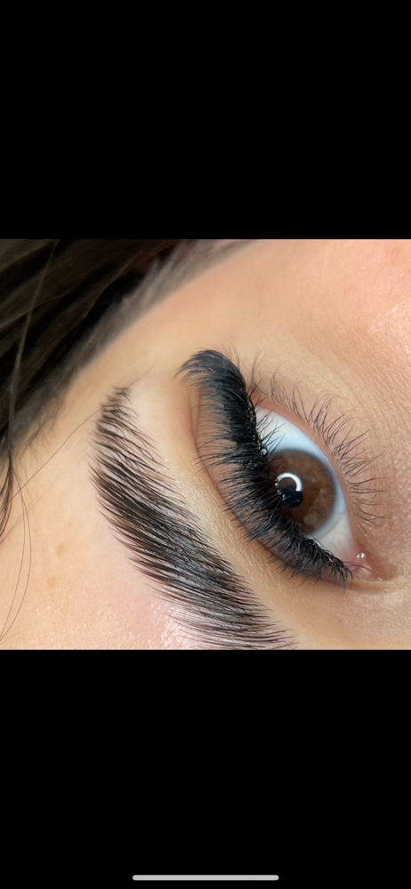 Volume Lash Extension