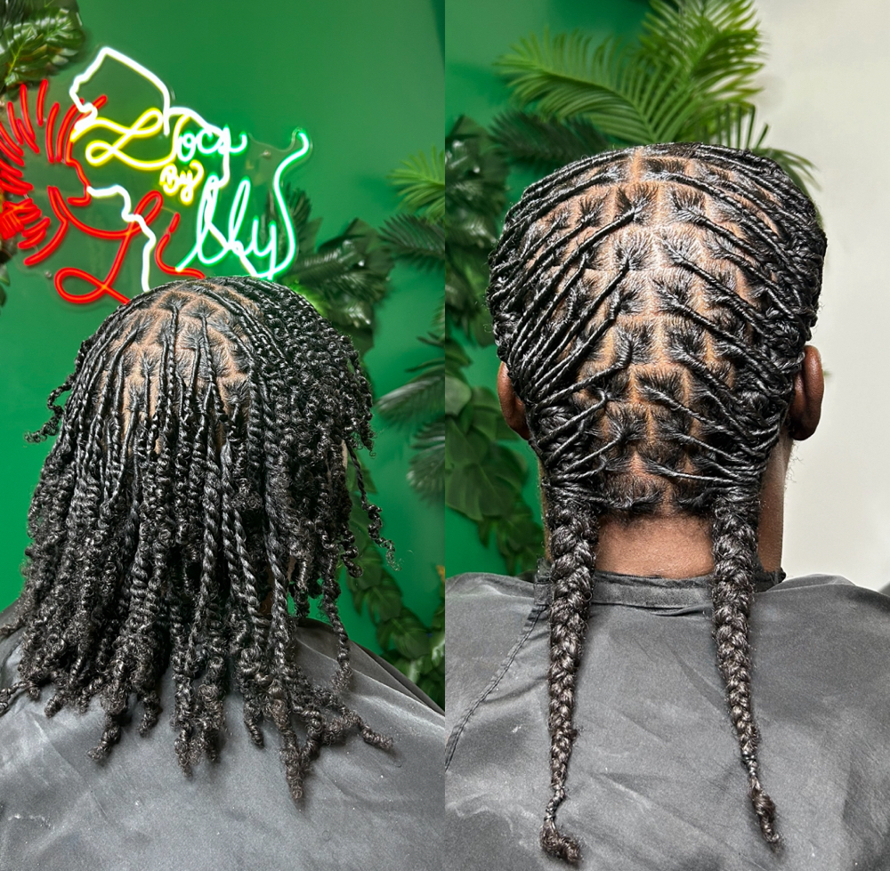 Medium- Two Strand Starter Locs