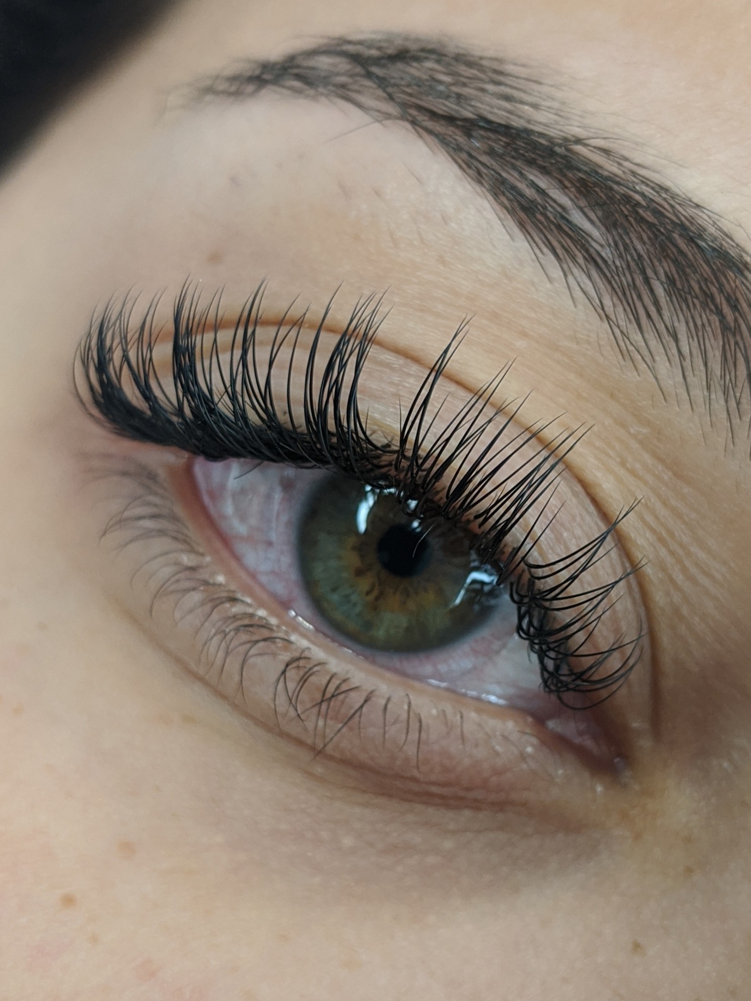 Classic Lashes