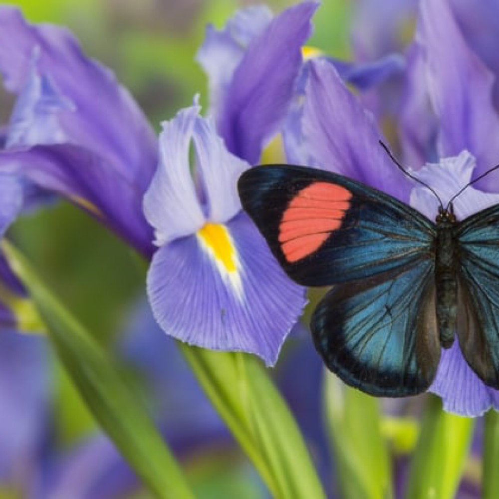 "Reset" Relaxation Pedicure at Metamorphosis Beauty Oasis LLC in Enterprise, AL