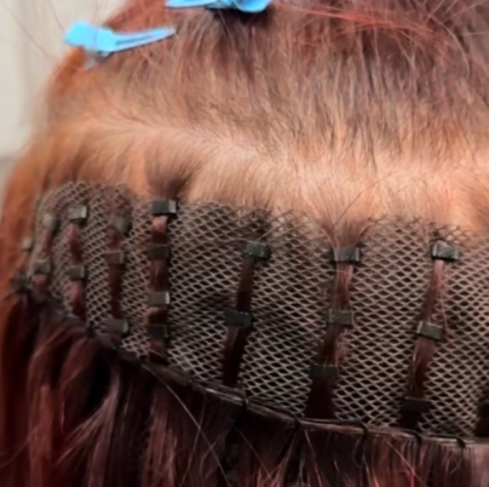 Mesh Integration System Install