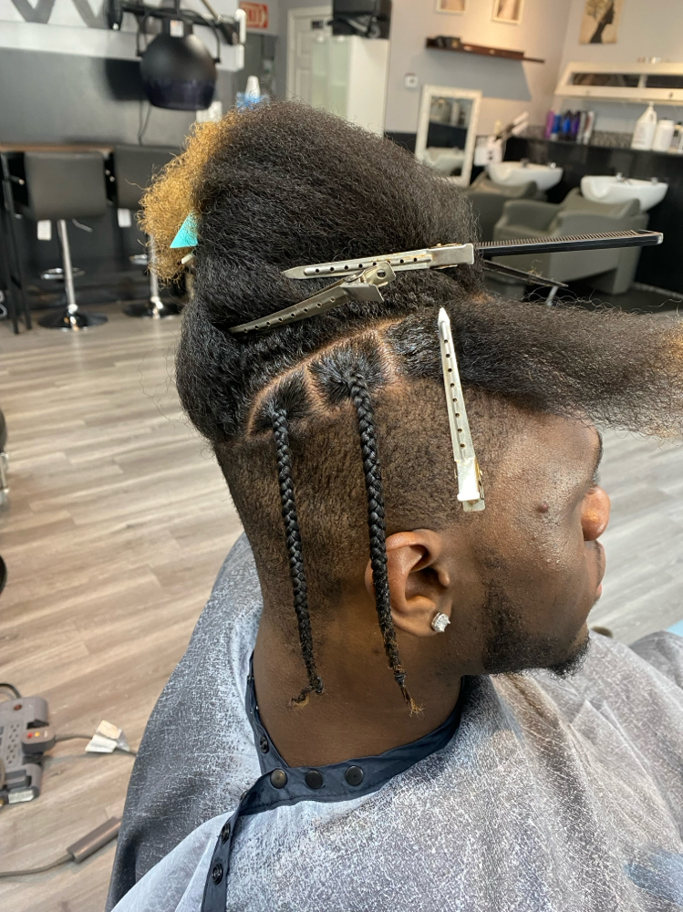 Natural Single Braids