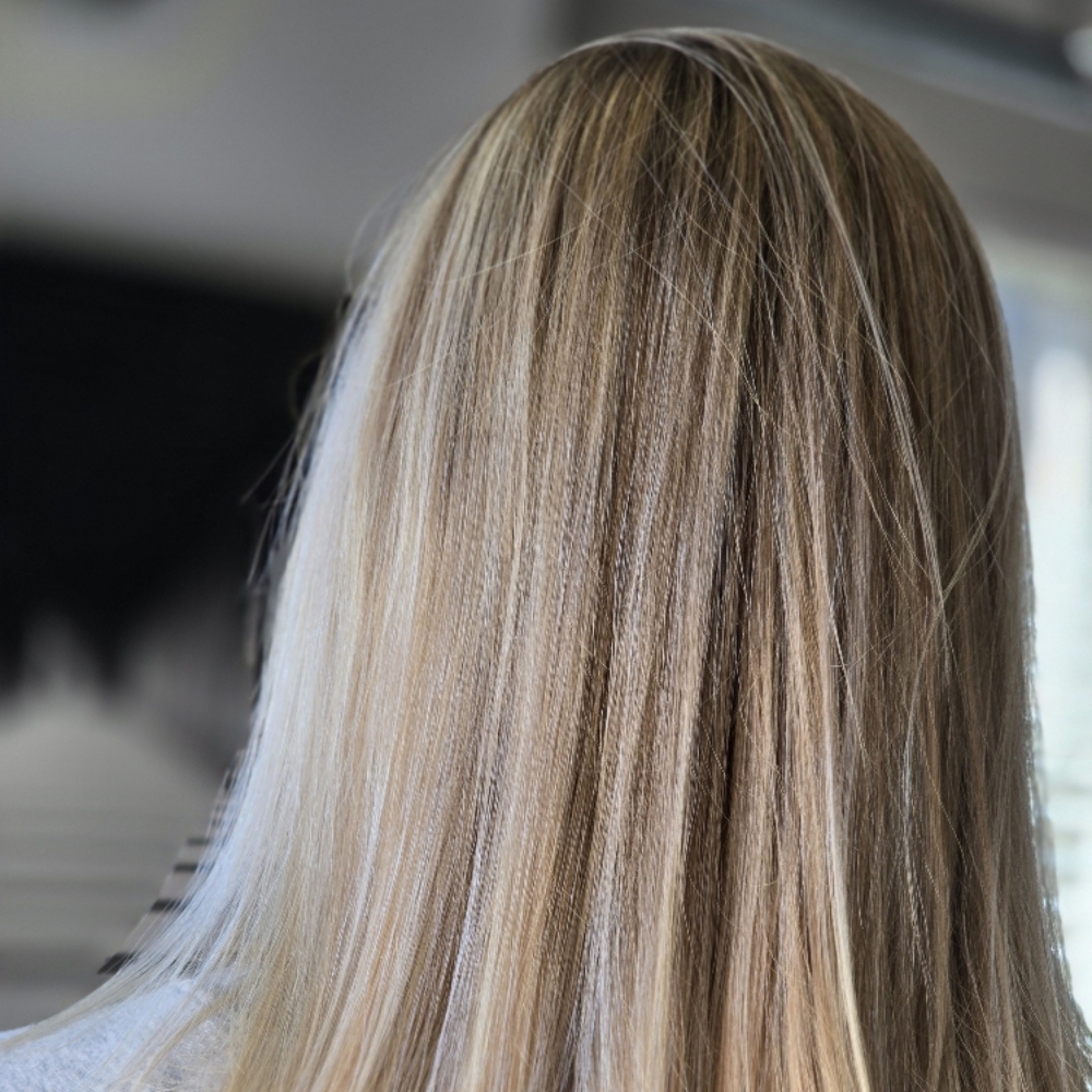 Deep Conditioning + Toner + Haircut at Dreamcuts and Styles Hair Salon in Fulshear, TX