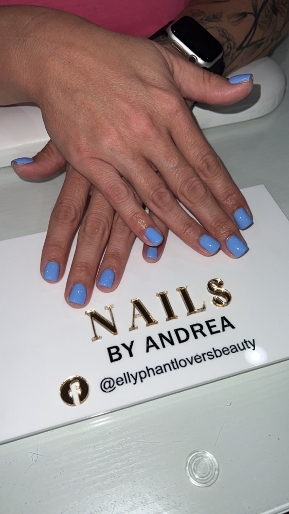 Acrylic Overlay