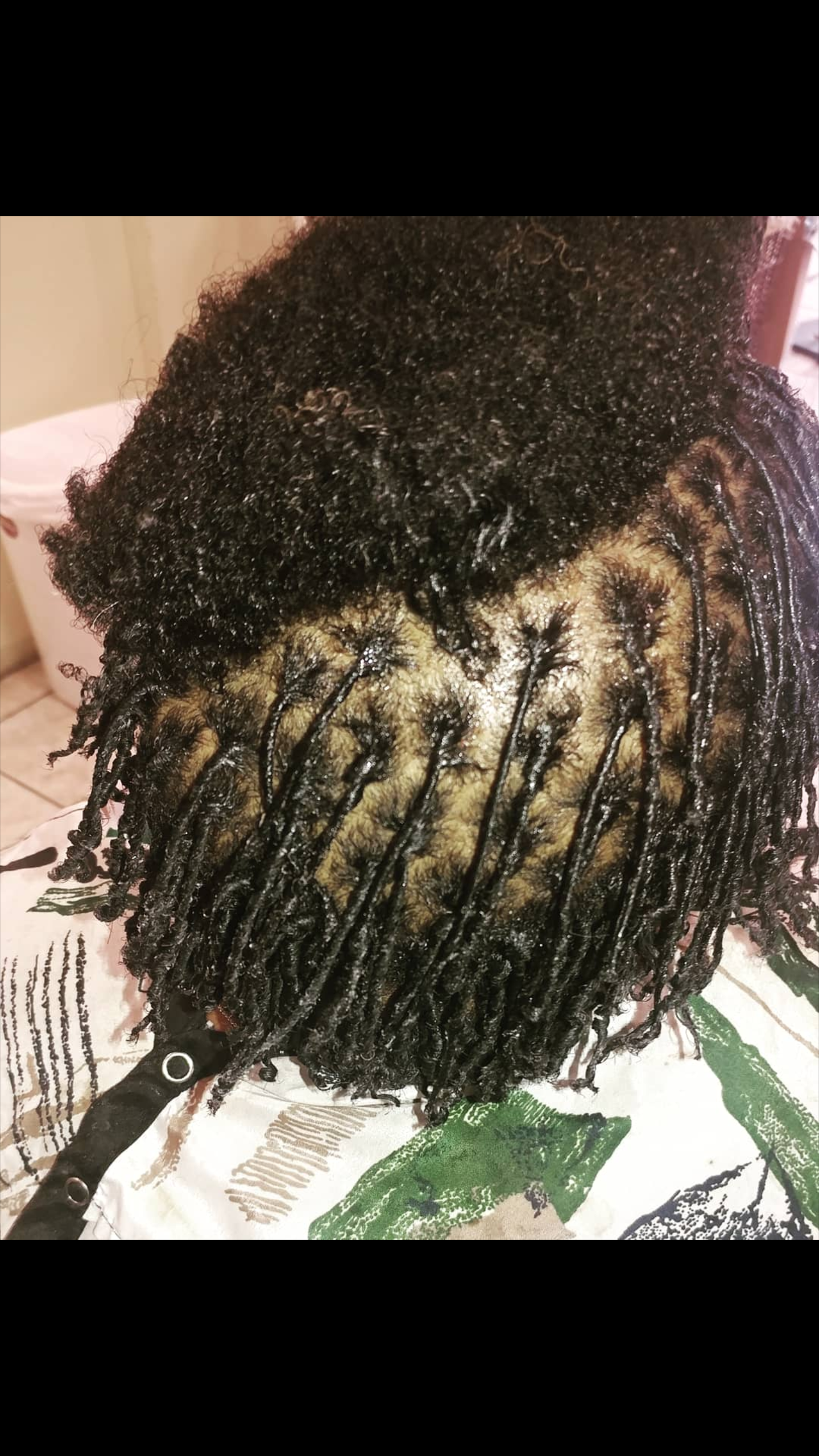 Starter Locs