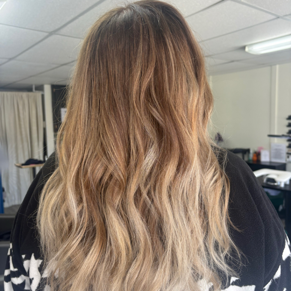 Root Touch-Up at Wall Flower Studio in Union Grove, WI