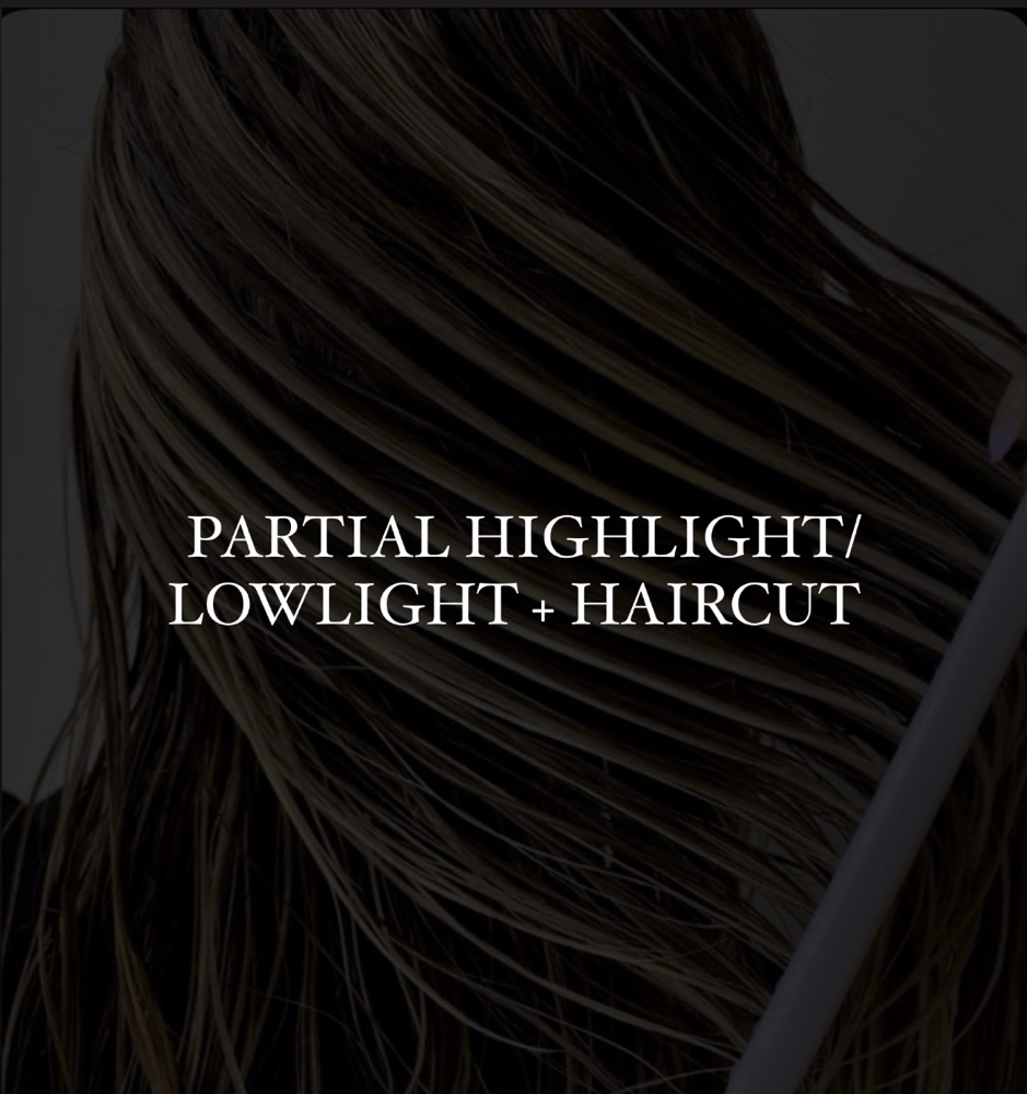 Partial Highlight/Lowlight +Haircut