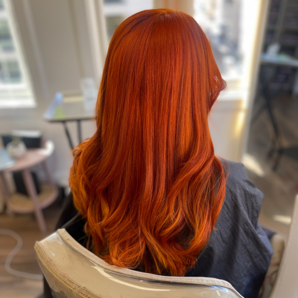 Single Process(full) at JosephAlex Salon in San Francisco, CA