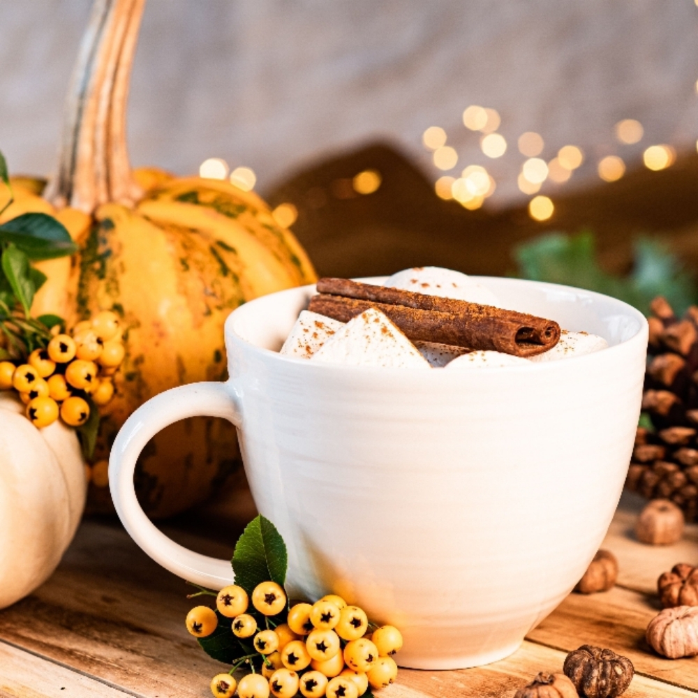 Spiced Pumpkin Mocha Facial at Sea Breeze Beauty in Anchorage, AK