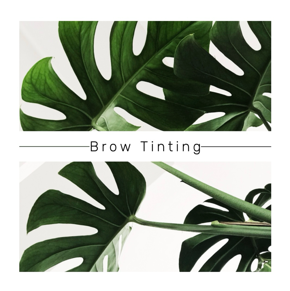 Brow Tint-