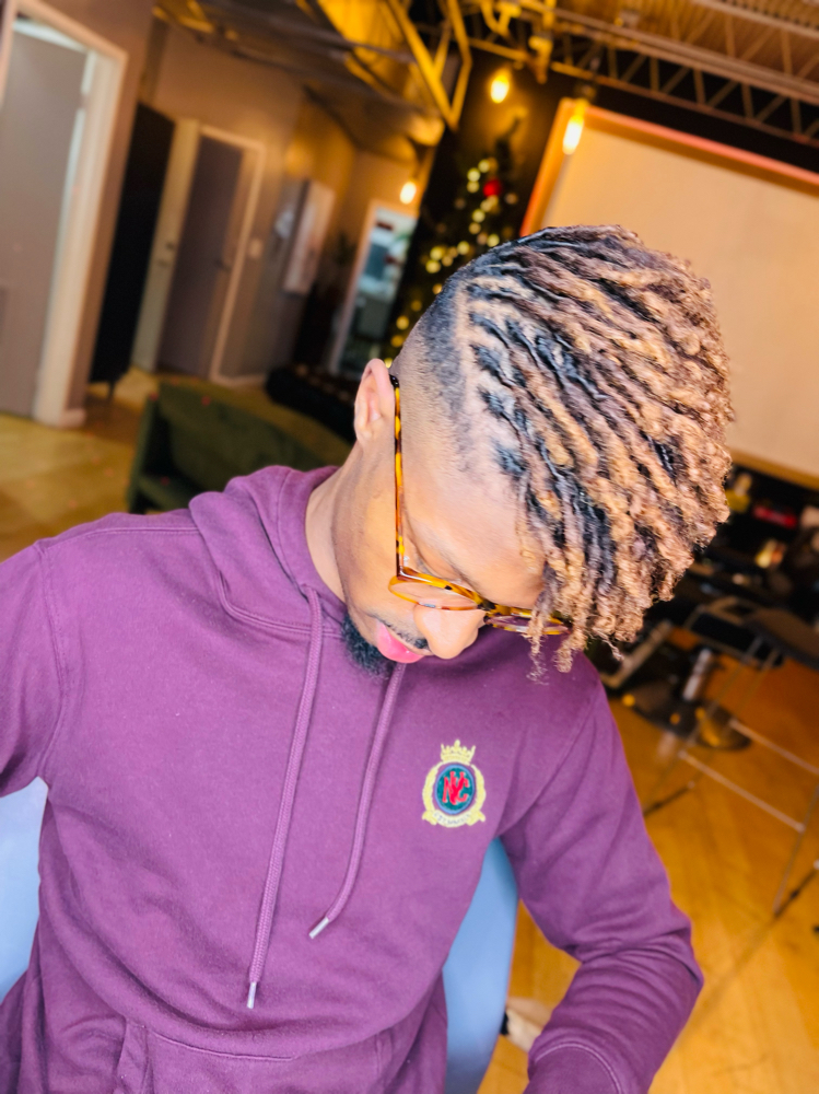 Starter Locs